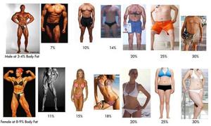 Kuidas aru saada keha rasva protsendimaara kaotuse