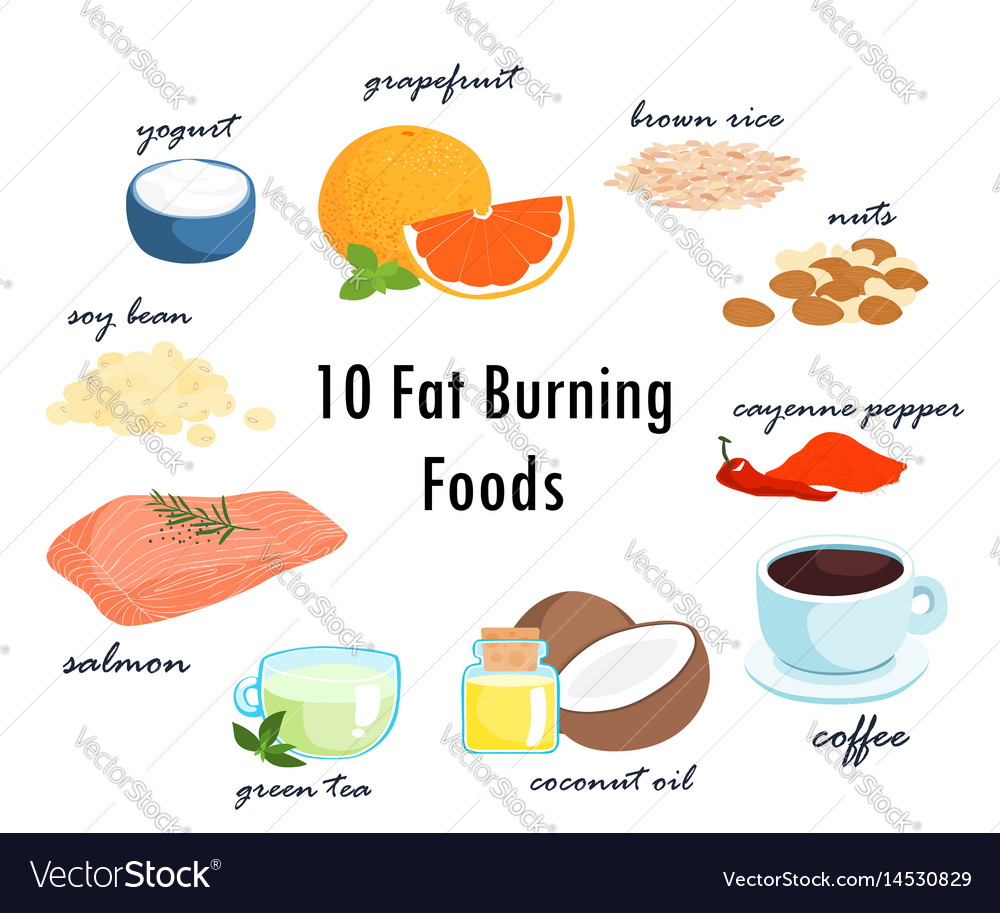 Top Burn Fat Fat Foods