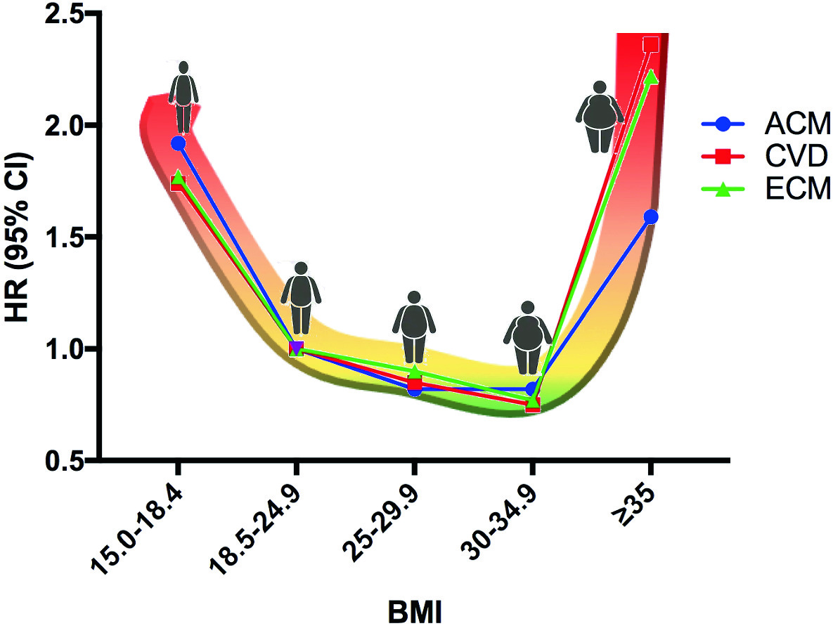 Kaalulangus madala BMI-ga