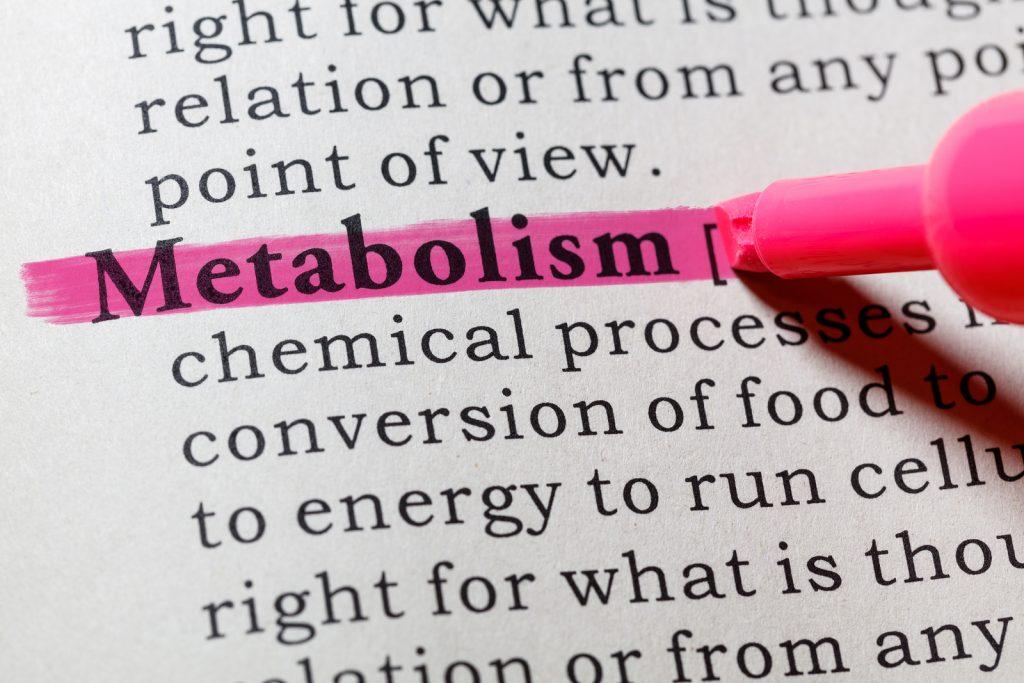 Metabolismi rasva kadu optimeerimine Kaalulangus valjakutse Rochester NY