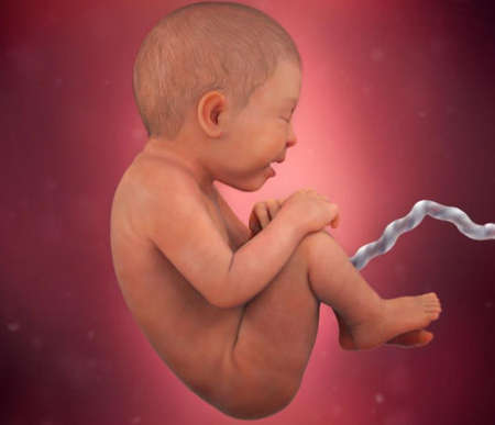 Kaalulangus 37 nadalat rase Kuidas teha kaalulangus valjakutse