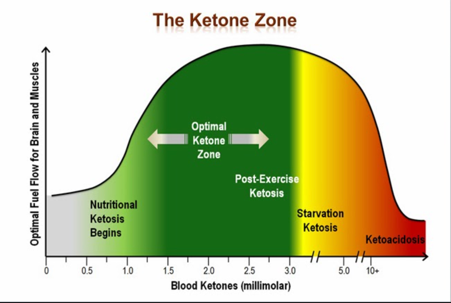 Kas ketoonid uriinis tahendab rasva poletamist